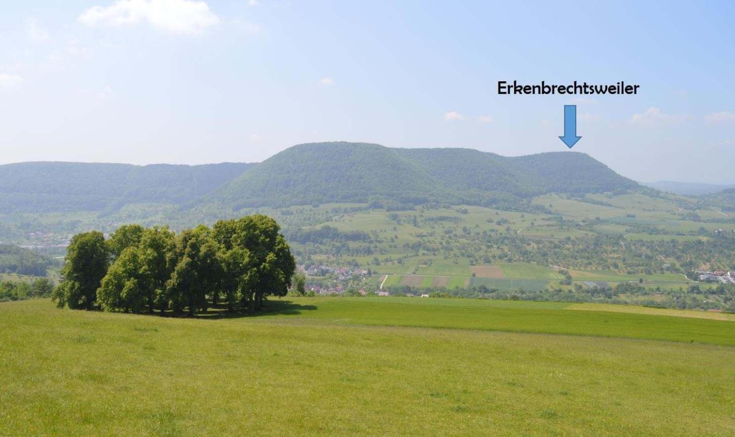 Fewo-Alb-Traum Erkenbrechtsweiler Exterior foto
